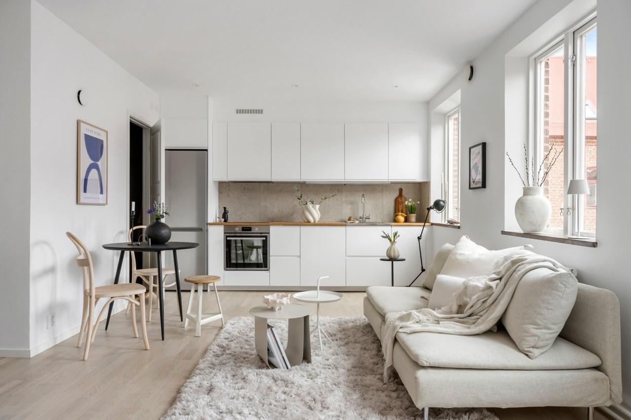Bright living room with cozy sofa and plants, ready to move in